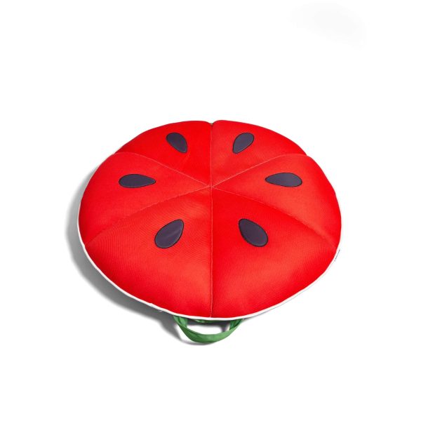 Fruit Slice Small Supply - Image 3